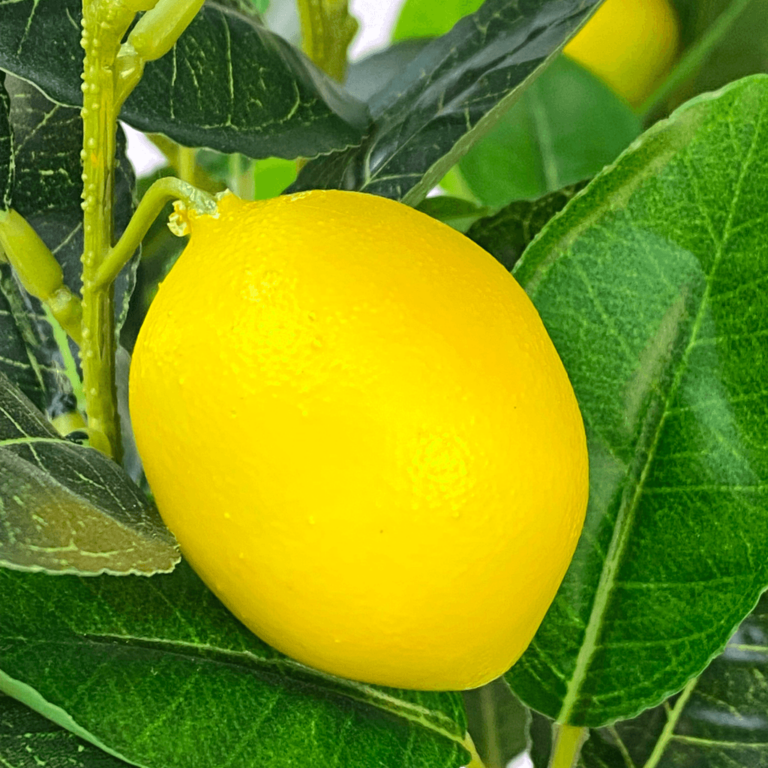 2 Packs 5ft Artificial Lemon Tree – 60″ large artificial outdoor trees