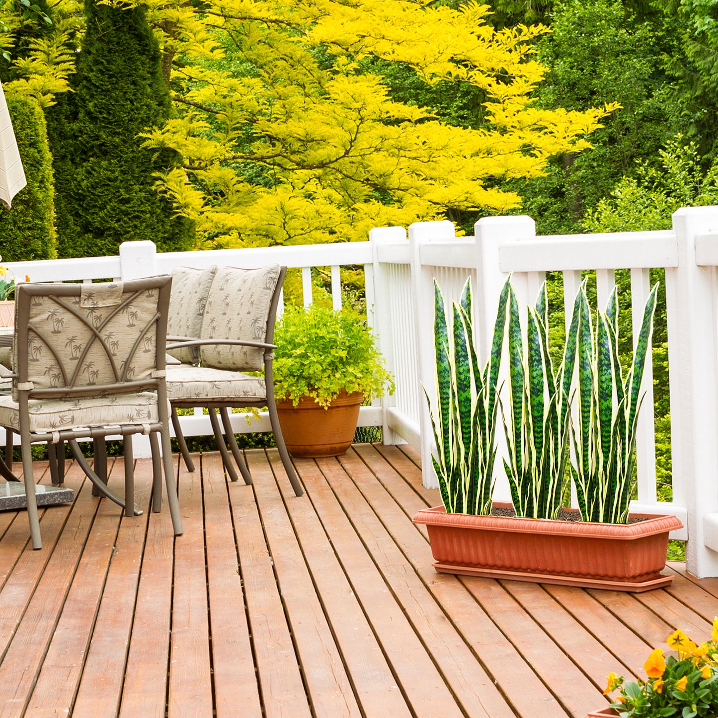 2PCS Artificial Snake Plant 3ft, Faux Plants for Indoor Outdoor, Home Office Store Decor