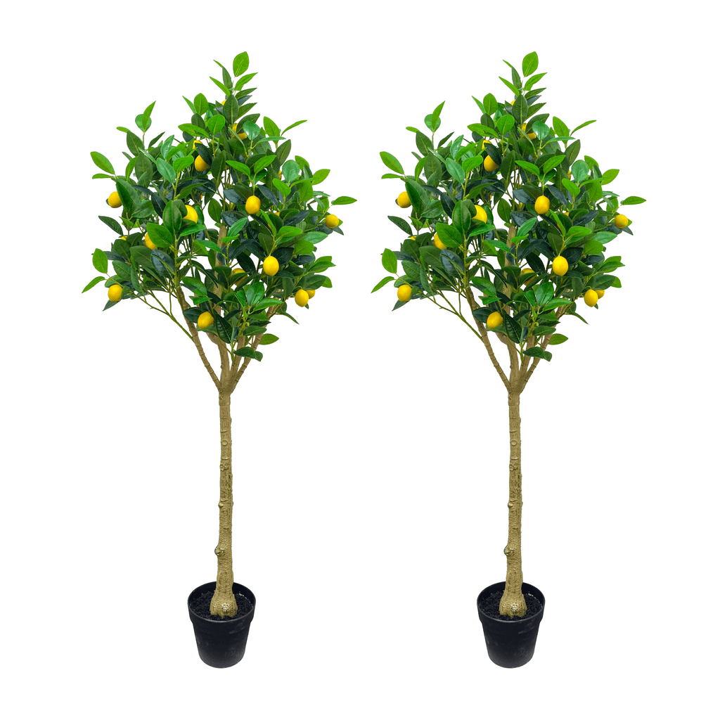 2 Packs 5ft Artificial Lemon Tree – 60″ large artificial outdoor trees